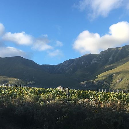 Misty Mountains Villa Hermanus Bagian luar foto