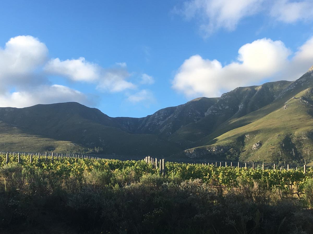 Misty Mountains Villa Hermanus Bagian luar foto