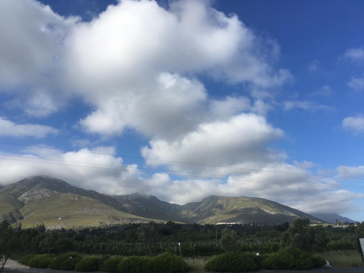 Misty Mountains Villa Hermanus Bagian luar foto