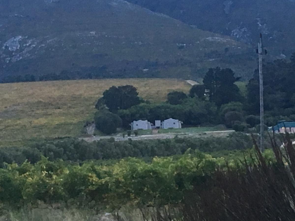 Misty Mountains Villa Hermanus Bagian luar foto