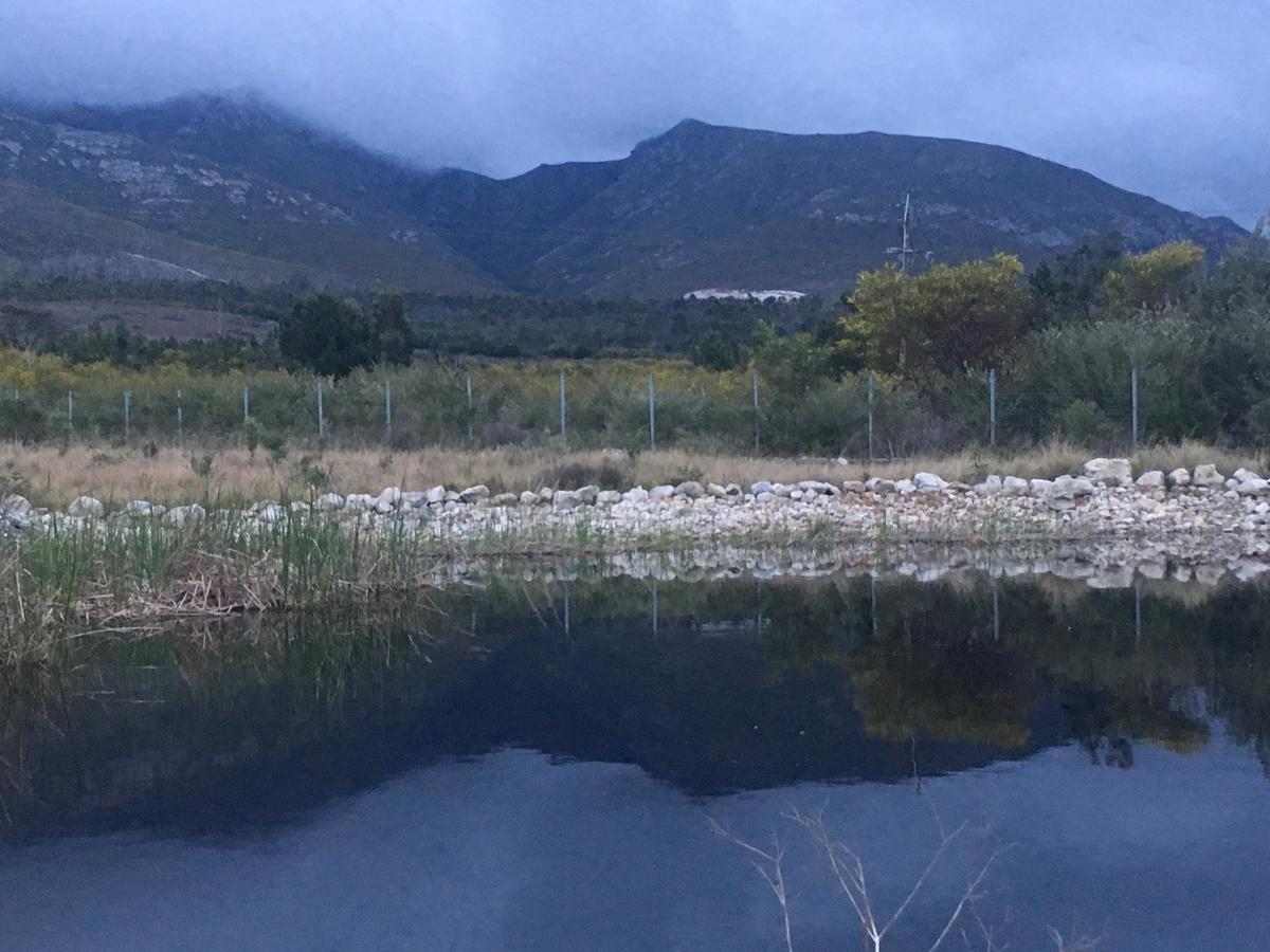 Misty Mountains Villa Hermanus Bagian luar foto